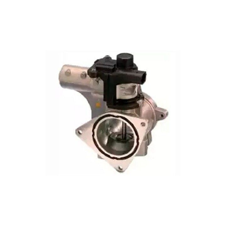 ERG vožtuvas MAGNETI MARELLI 571822112154