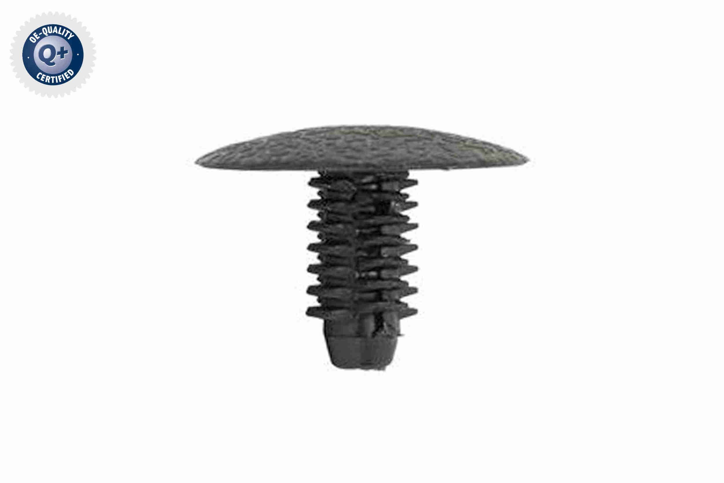 Laikantysis spaustukas, dugno apmušalai VAICO V22-1331