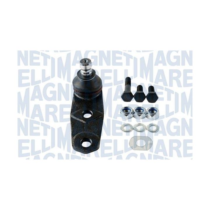 Tvirtinimo veržlės, balansyras MAGNETI MARELLI 301191619440