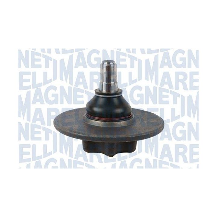 Tvirtinimo veržlės, balansyras MAGNETI MARELLI 301191619460