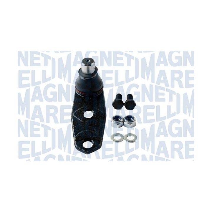 Tvirtinimo veržlės, balansyras MAGNETI MARELLI 301191619570