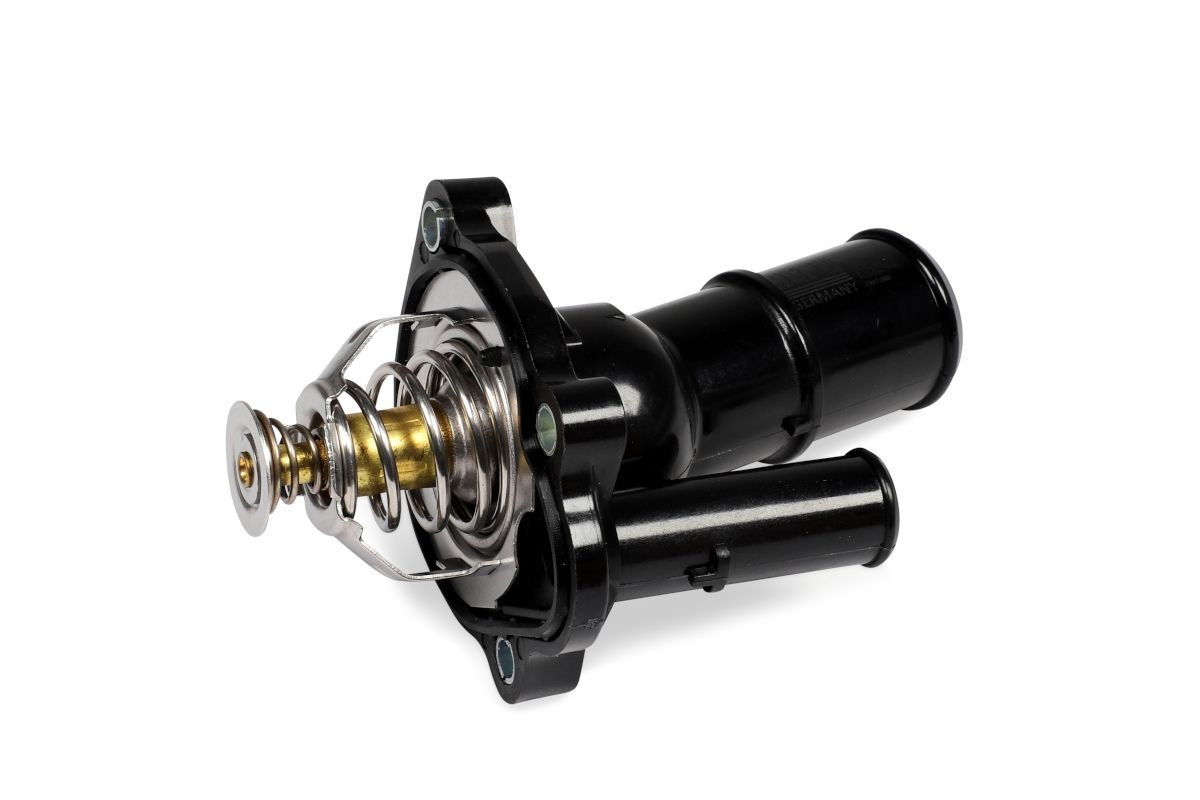 Termostatas, aušinimo skystis HEPU TM1396