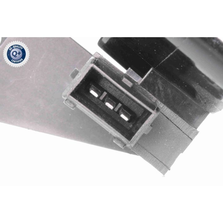 Ritė, uždegimas VEMO V24-70-0001