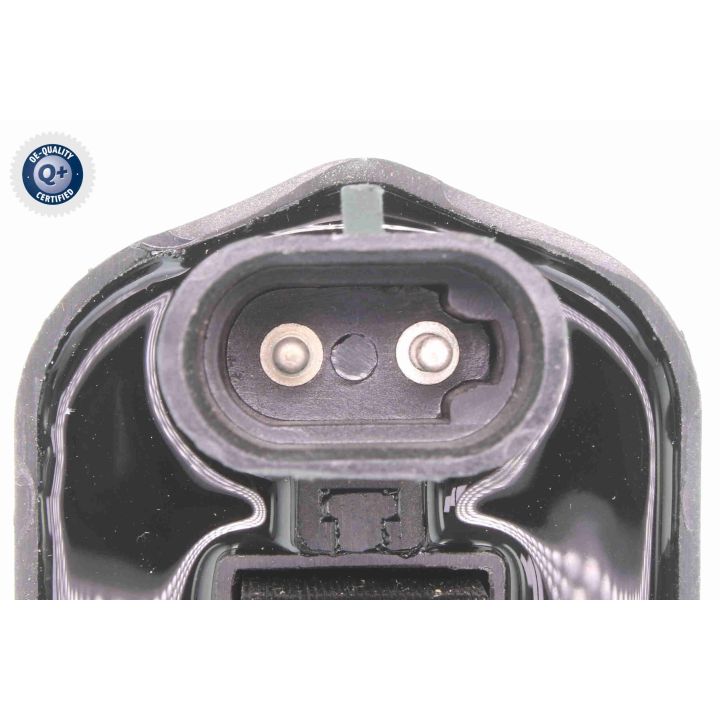 Ritė, uždegimas VEMO V33-70-0005