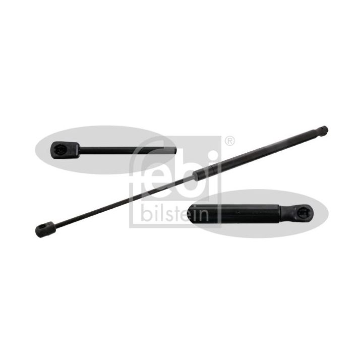 Dujinė spyruoklė, bagažinė FEBI BILSTEIN 48695