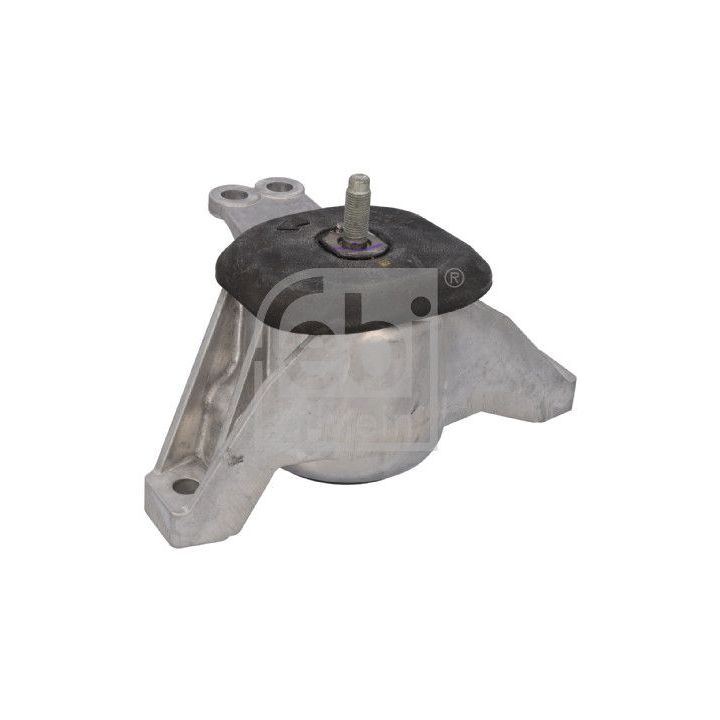 Variklio montavimas FEBI BILSTEIN 196663