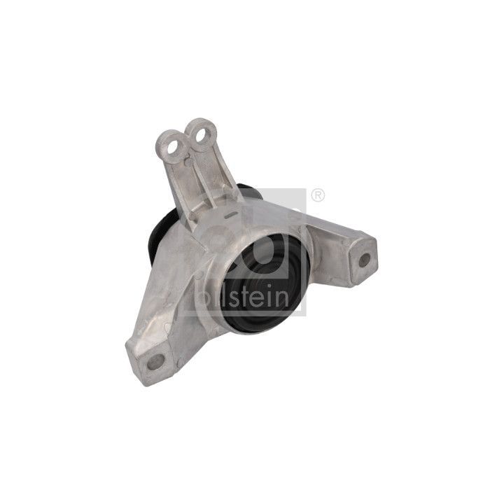 Variklio montavimas FEBI BILSTEIN 196663