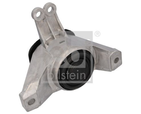 Variklio montavimas FEBI BILSTEIN 196663