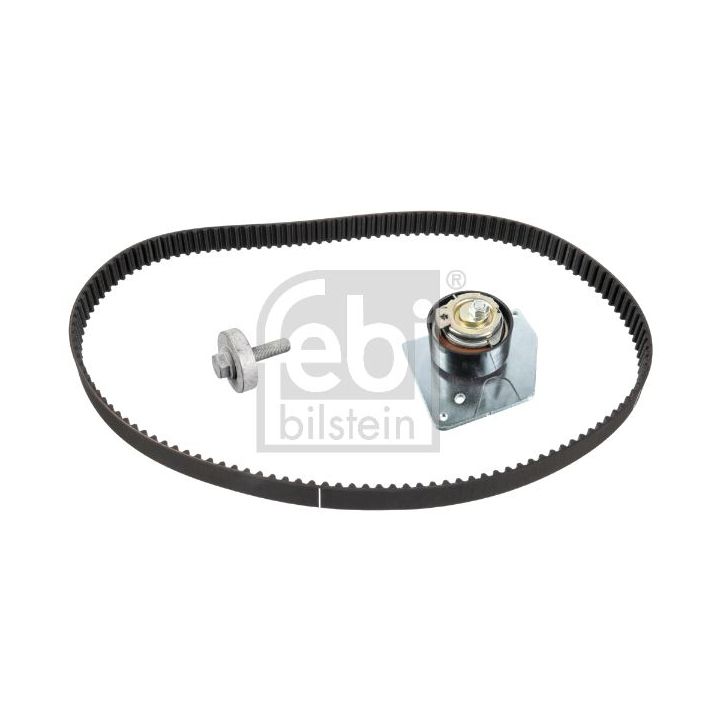 Paskirstymo diržo komplektas FEBI BILSTEIN 43669