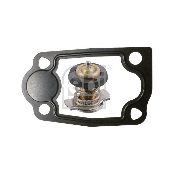 Termostatas, aušinimo skystis FEBI BILSTEIN 193092