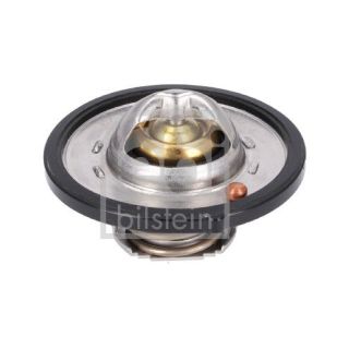 Termostatas, aušinimo skystis FEBI BILSTEIN 193096