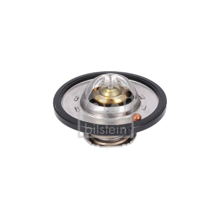 Termostatas, aušinimo skystis FEBI BILSTEIN 193096