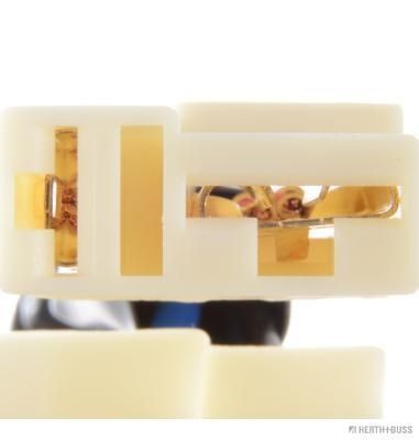 Vairo užraktas HERTH+BUSS ELPARTS 70595030