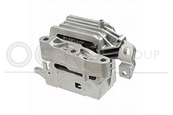 Variklio montavimas OCAP 1226649