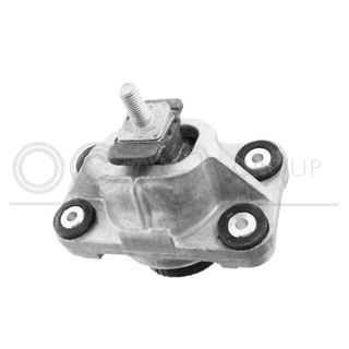 Variklio montavimas OCAP 1226651