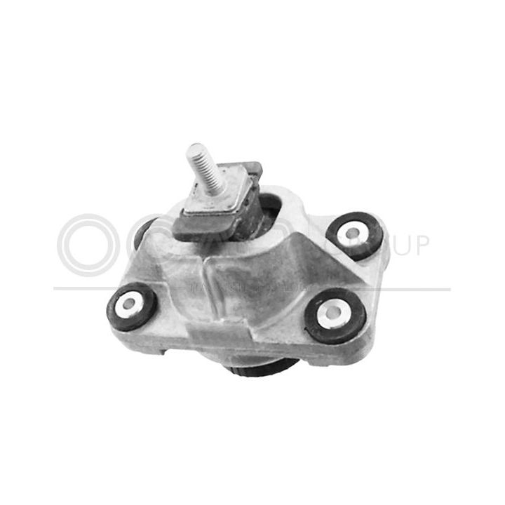 Variklio montavimas OCAP 1226651