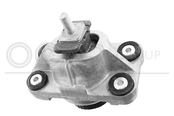 Variklio montavimas OCAP 1226651