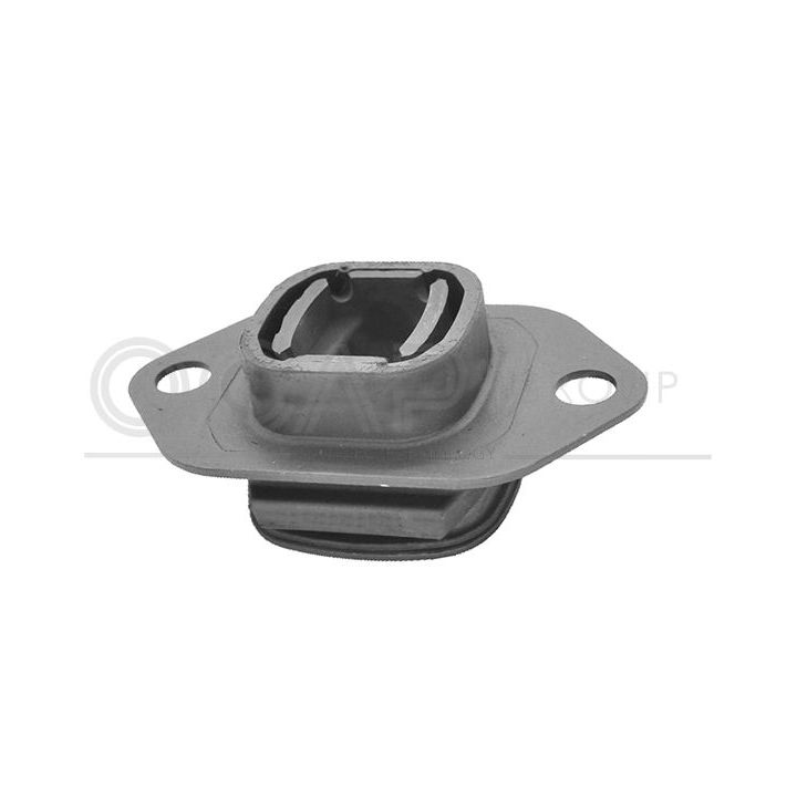 Variklio montavimas OCAP 1226660