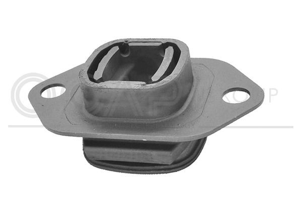 Variklio montavimas OCAP 1226660