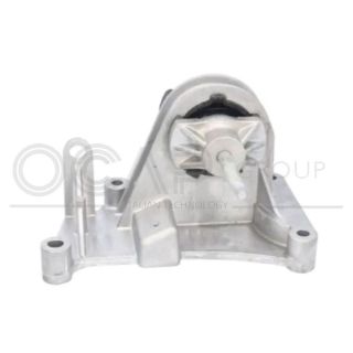 Variklio montavimas OCAP 1226675