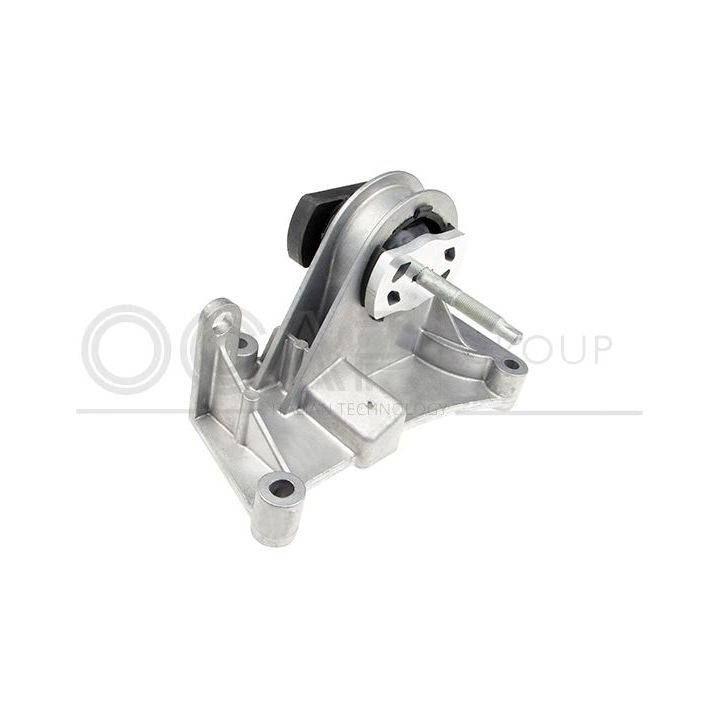 Variklio montavimas OCAP 1226676