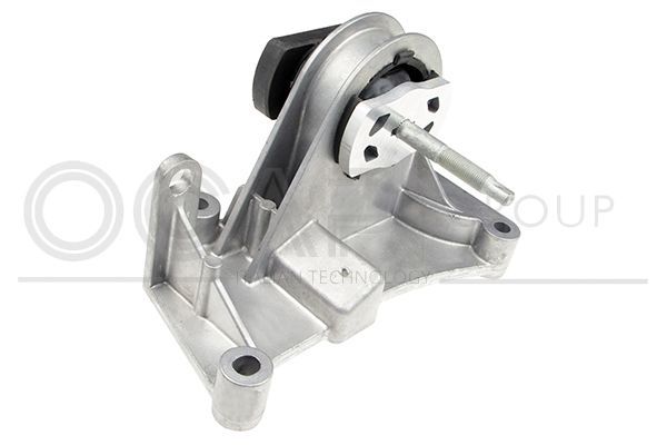Variklio montavimas OCAP 1226676
