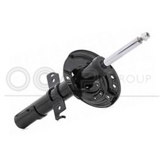 Amortizatorius OCAP 82918FU