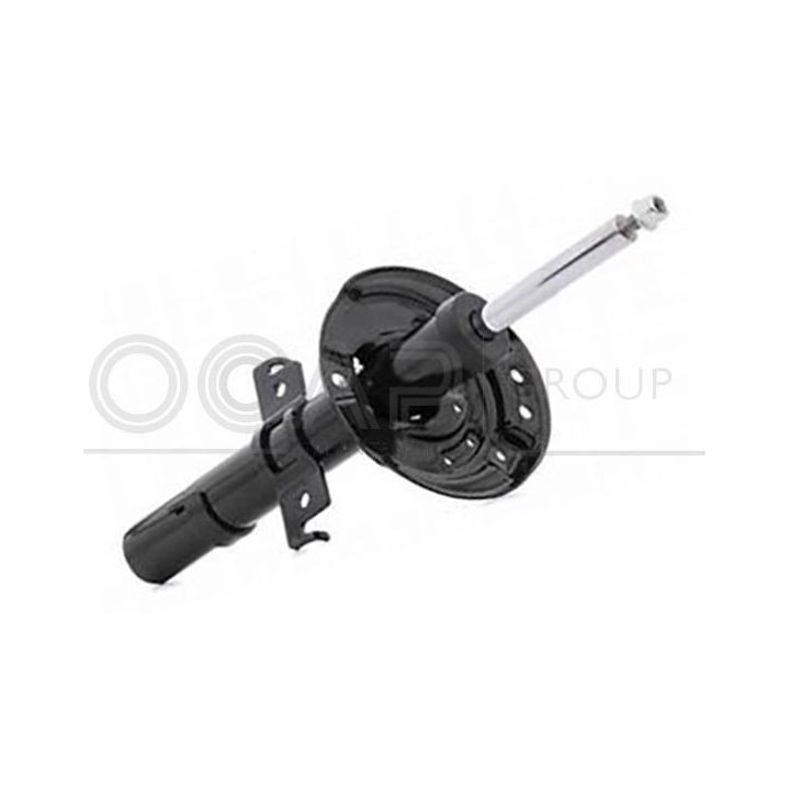 Amortizatorius OCAP 82918FU