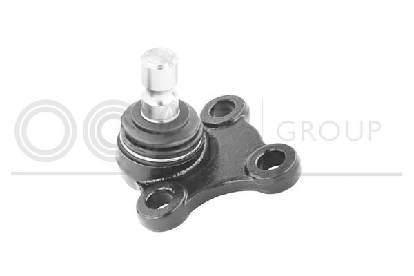 Šarnyras / girgždukas OCAP 0482848