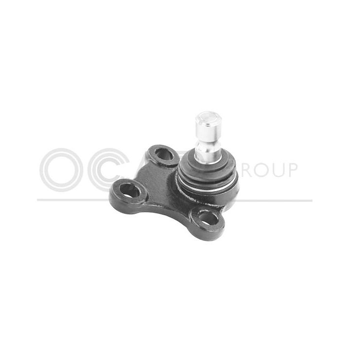 Šarnyras / girgždukas OCAP 0492848