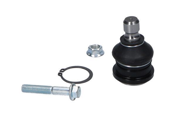 Šarnyras / girgždukas KAVO PARTS SBJ-10085