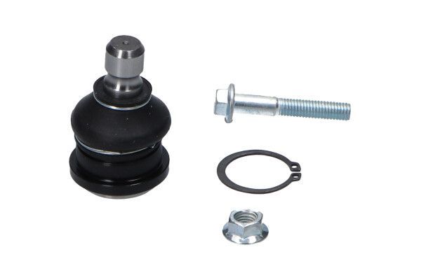 Šarnyras / girgždukas KAVO PARTS SBJ-10085