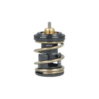 Termostatas, aušinimo skystis NRF 725391