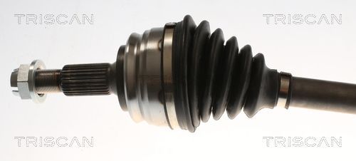 Pusašis TRISCAN 8540 10543