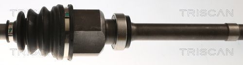 Pusašis TRISCAN 8540 10544