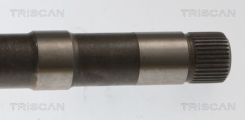 Pusašis TRISCAN 8540 10544