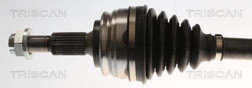 Pusašis TRISCAN 8540 10545