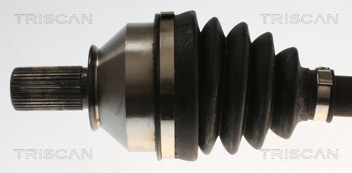 Pusašis TRISCAN 8540 10551