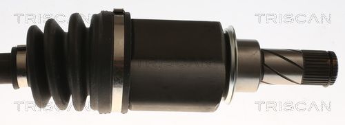 Pusašis TRISCAN 8540 10551