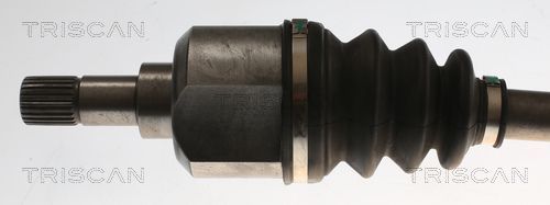 Pusašis TRISCAN 8540 10553