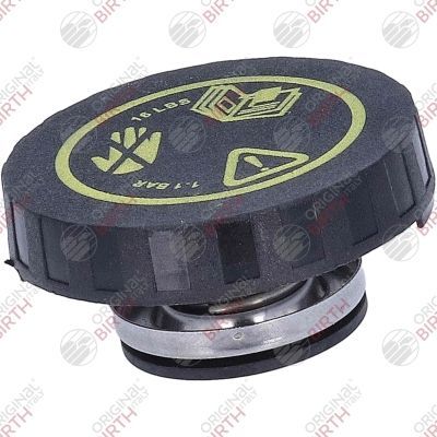 Dangtelis, radiatorius BIRTH 80696