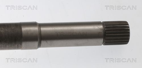 Pusašis TRISCAN 8540 10554