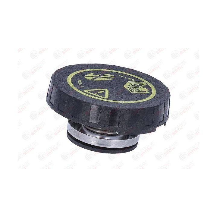 Dangtelis, radiatorius BIRTH 80696