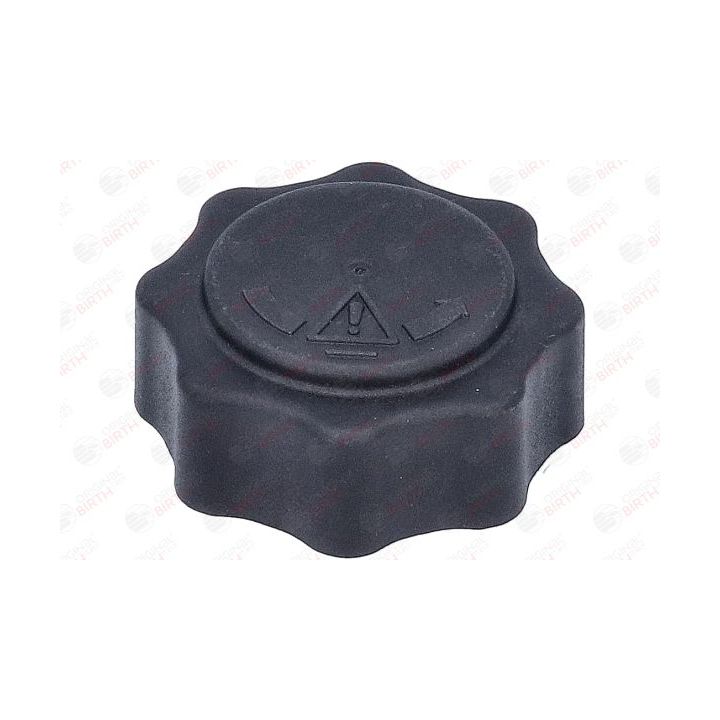 Dangtelis, radiatorius BIRTH 80697