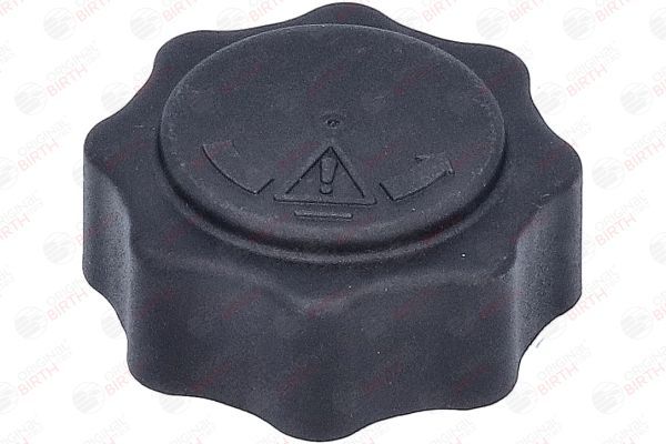 Dangtelis, radiatorius BIRTH 80697