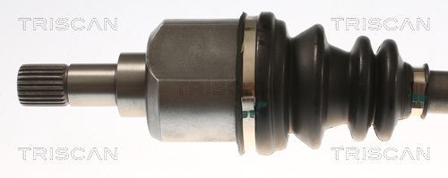 Pusašis TRISCAN 8540 10555