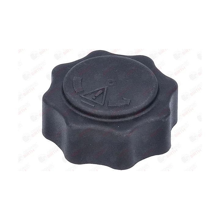 Dangtelis, radiatorius BIRTH 80697