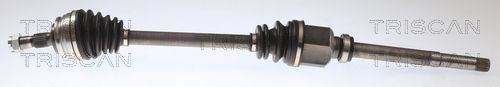 Pusašis TRISCAN 8540 10556