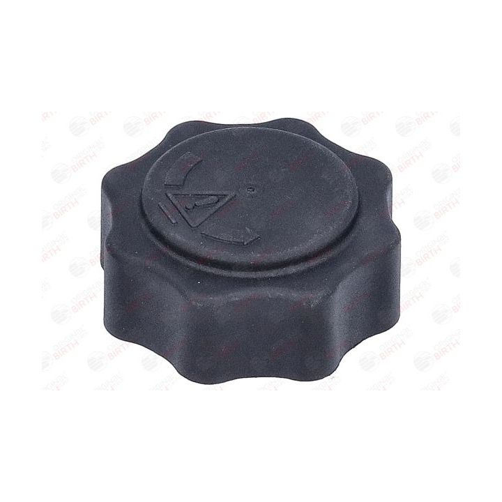 Dangtelis, radiatorius BIRTH 80697