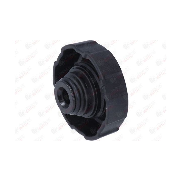 Dangtelis, radiatorius BIRTH 80700